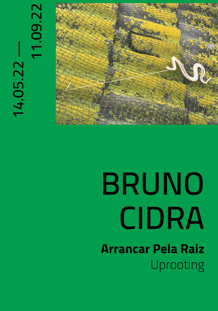 bruno cidra