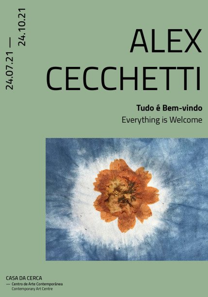 alex cecchetti