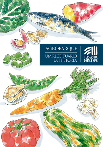 Capa Um receituário de história