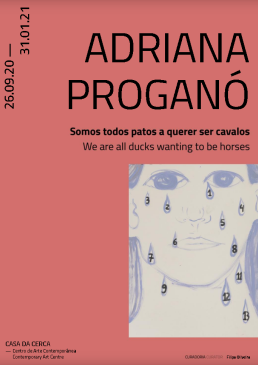 "Somos todos patos a querer ser cavalos" de Adriana Proganó  