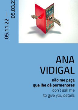 Ana Vidigal