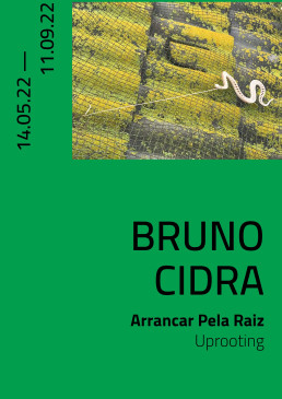 bruno cidra