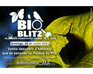 BioBlitz Parque da Paz 2021_Câmara Municipal de Almada