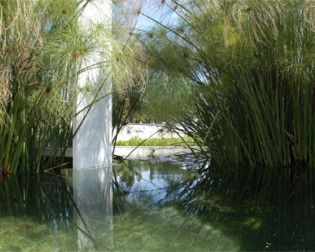 Visita Orientada ao Chão das Artes - Jardim Botânico