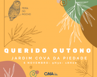 Feira do Mocho nov 2021