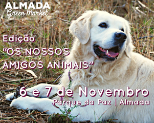 Almada Green Market Outubro 2021