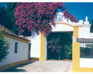 Charneca de Caparica_Arquivo Historico_QuintaAlemao