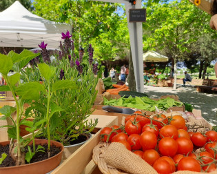 ALMADA GREEN MARKET