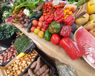 ALMADA GREEN MARKET