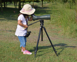 Observação de Aves