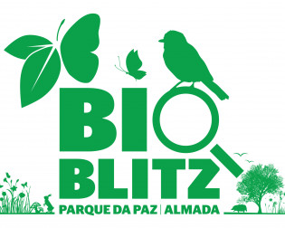 BioBlitz Parque da Paz Almada