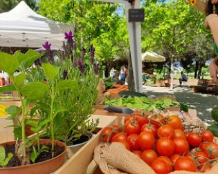 Almada Green Market