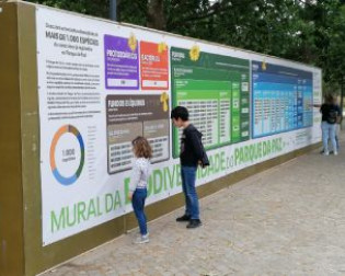 Mural da Biodiversidade Parque da Paz