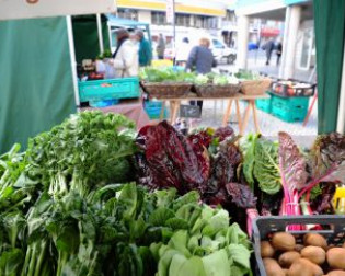 Mercado Biológico de Almada