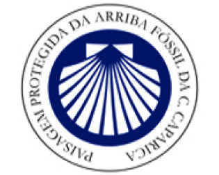 Cogestão