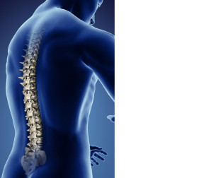 Como Manter Uma Coluna Saudável