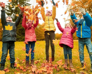 Dança das castanhas