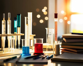 Entre linhas e reações 