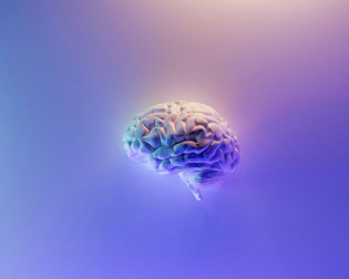 Proativa’mente com Há Margem