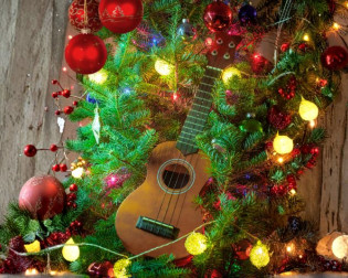 Formação de Guitarra e Ukulele 