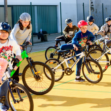 Ciclismo Curricular