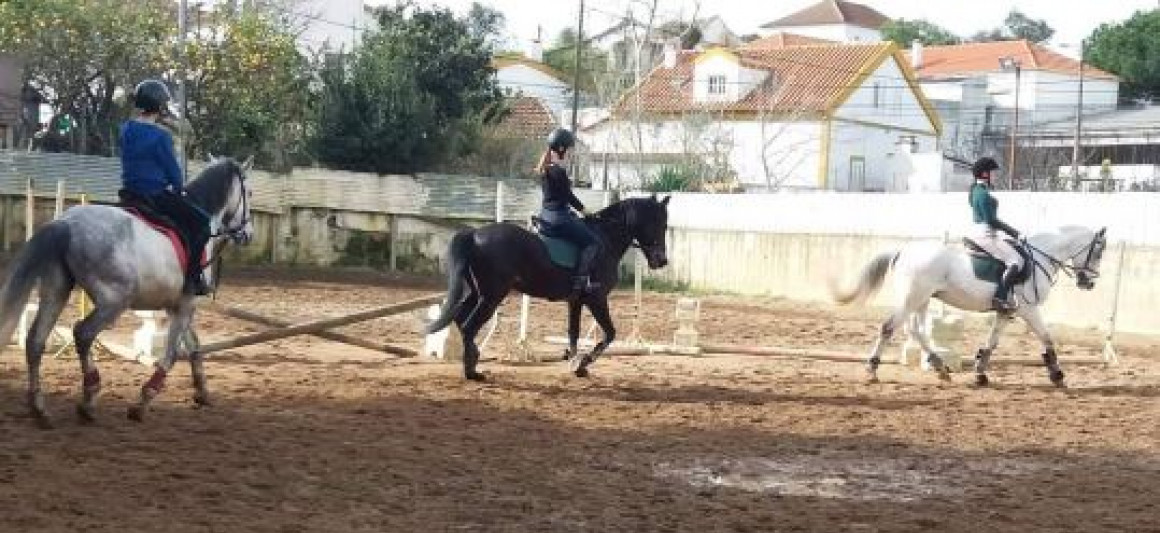 Clube_Equestre_Catarina_Vicente_3