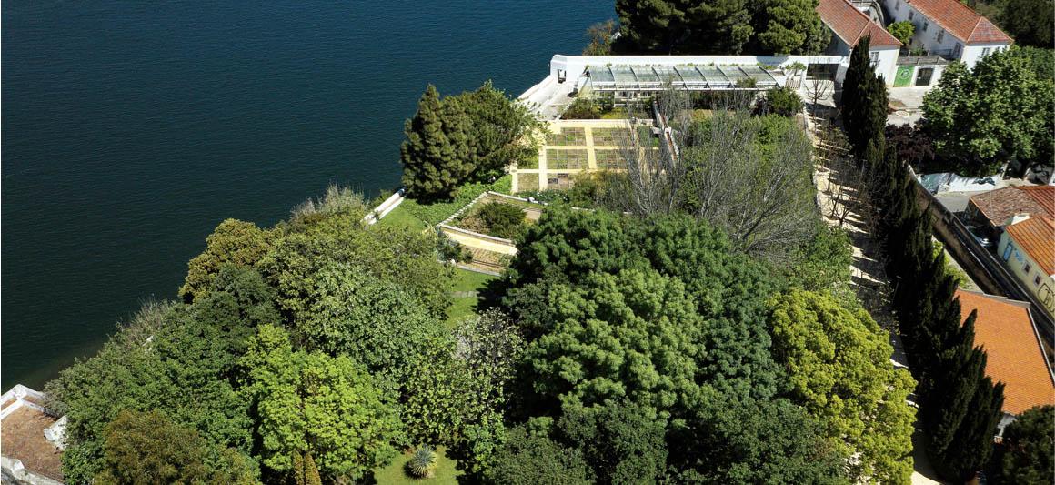 Jardim Botânico - Foto Comandante Paulo Farinha Alves