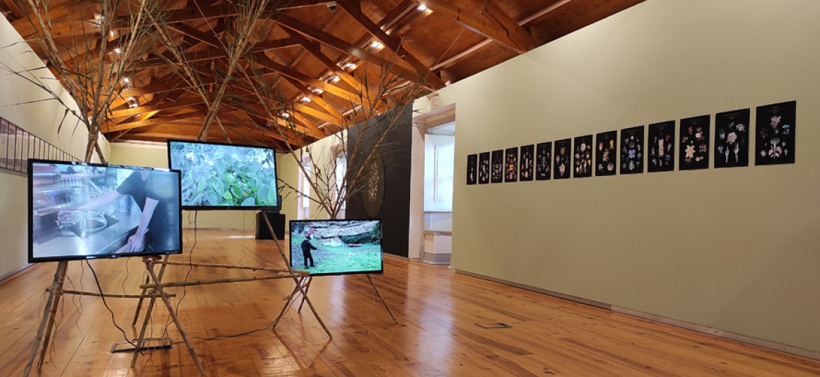 Exposição "A Vida Secreta das Plantas"