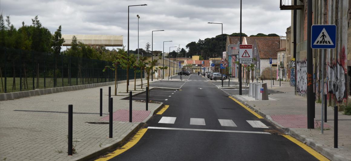 caramujo romeira (2).jpg 