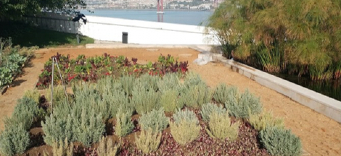 casa_cerca_acessibilidades_02