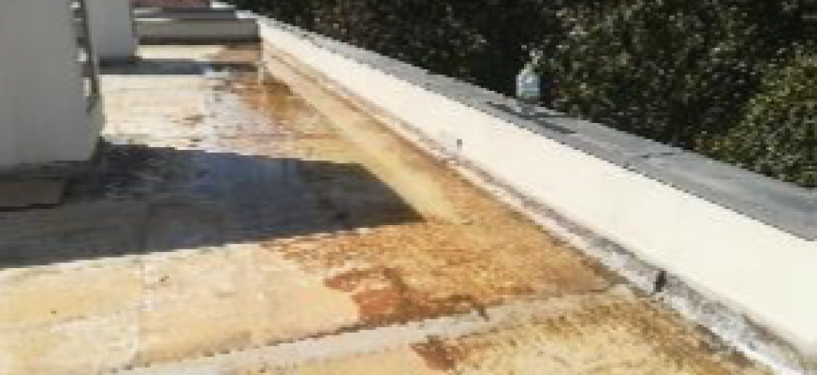 escola_basica_vale_flores_01