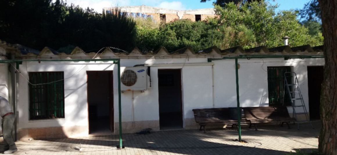 viveiros_alto_indio_01