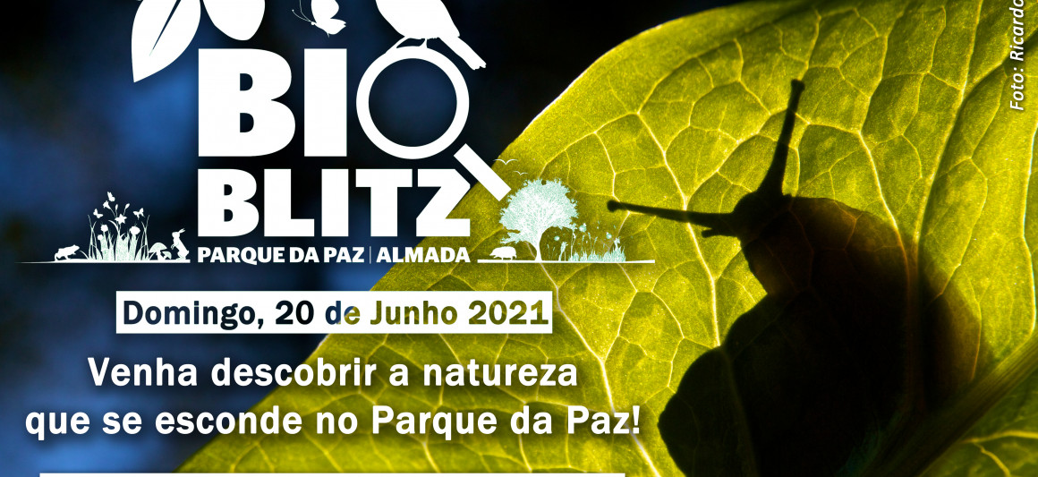 BioBlitz Parque da Paz 2021