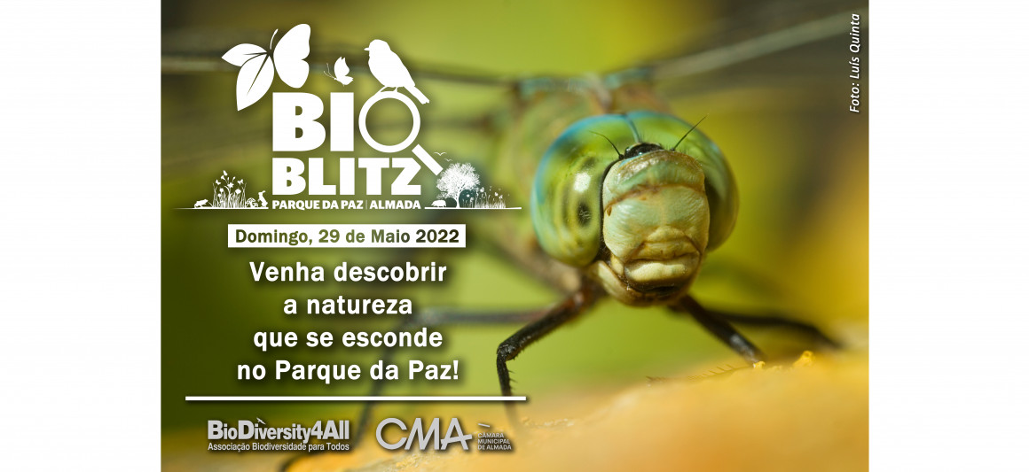 BioBlitz Parque da Paz 2022