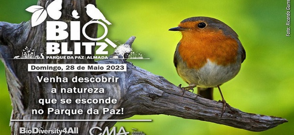 bioblitz