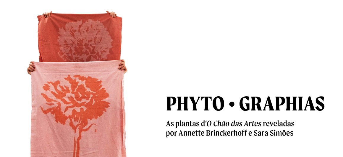 PHYTO · GRAPHIAS As plantas d’O Chão das Artes reveladas por Annette Brinckerhoff e Sara Simões