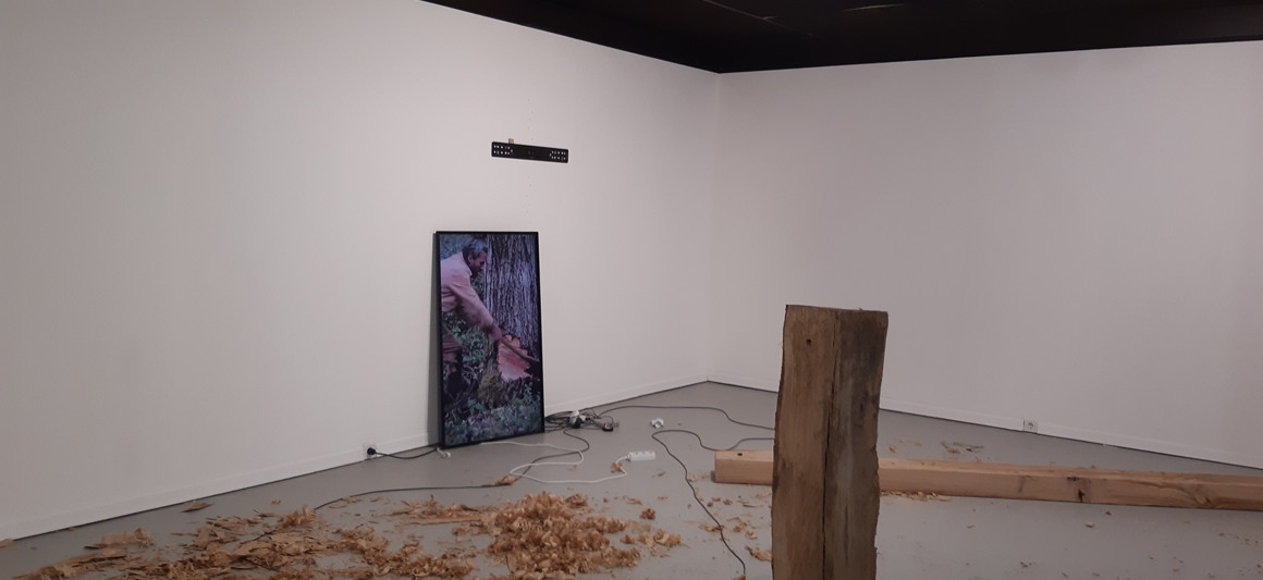 Exposição “Habitat”, do Coletivo Landra