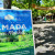 ALMADA GREEN MARKET Cuidar da Natureza