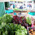 Almada, Parque da Paz, Green Market