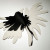 Exposição Um Desenho de Sombras de Margarida Gonçalves 