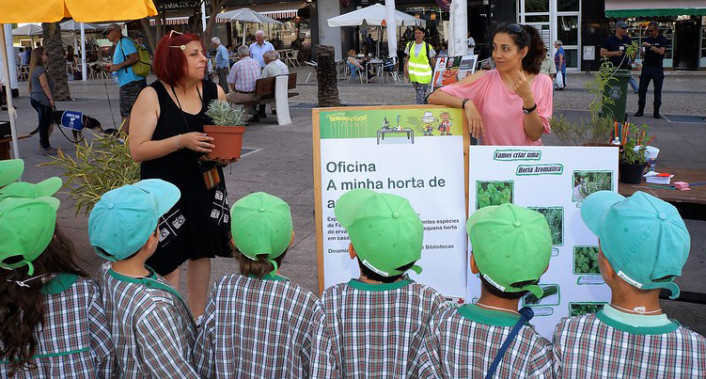 Comunidade escolar e grupos organizados