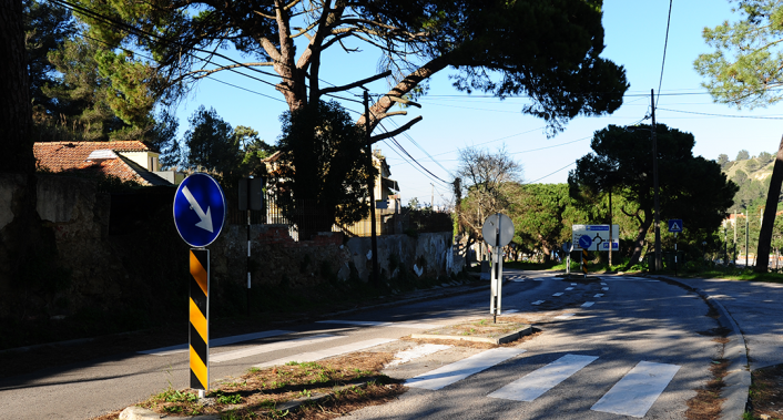 Corvina, Almada ©CMA