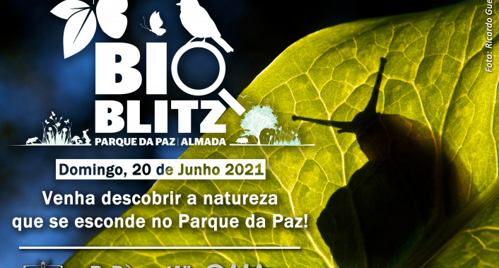 BioBlitz Parque da Paz 2021