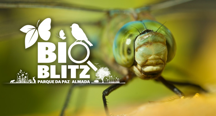 BioBlitz Parque da Paz 2022