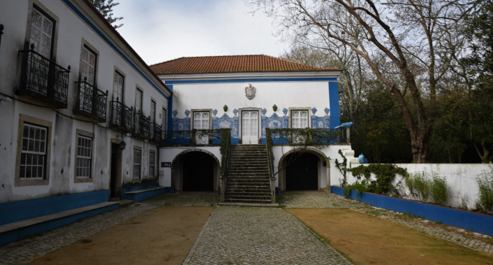 zagallos