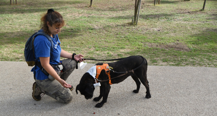 Almada, Animais, Voluntariado, Abrigo dos Animais