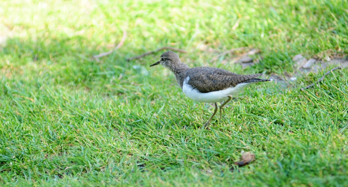 Almada, Ambiente, Natureza, Percursos, Visitas