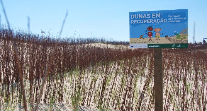 Dunas das praias de São João da Caparica e Cova do Vapor em recuperação