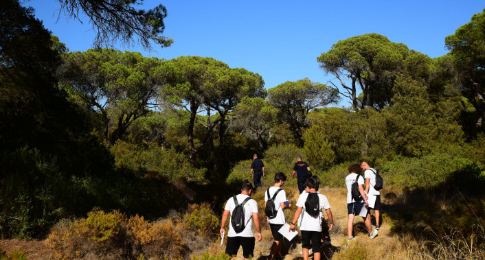 Almada, Voluntariado, Natureza, Floresta, Proteção Civil, IPDJ