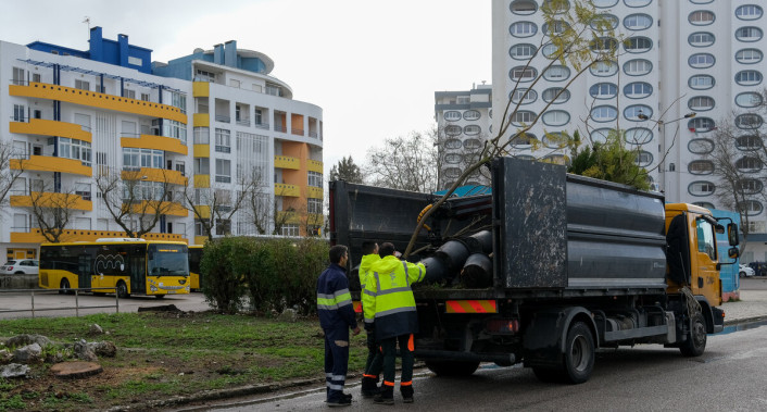 Plantadas 30 árvores na Praça Padre Manuel Bernardes, na Costa da Caparica